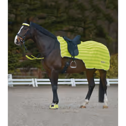 Couvre-reins pour cheval Waldhausen Reflex