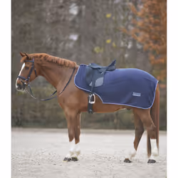 Couvre-reins pour cheval imperméable Waldhausen Economic