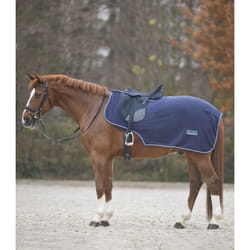 Couvre-reins pour cheval imperméable Waldhausen Economic