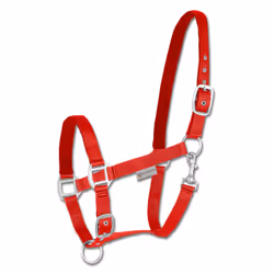 Licol pour cheval satin Waldhausen