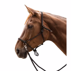 Licol pour cheval à nœuds avec rênes Waldhausen