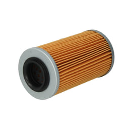 Filtre à huile CHAMPION HF556 COF456