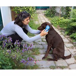 Kerbl 81901 brosse et peigne pour animaux Bleu Chien