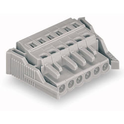 Wago 231-110/037-000 bornier 10P Gris