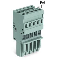 Wago 769-105 bornier 5P Gris