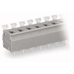 Wago 255-502 bornier 2P Gris