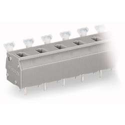 Wago 255-602 bornier 2P Gris