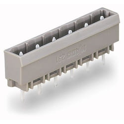 Wago 231-232/001-000 bornier 2P Gris