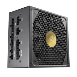 Sharkoon Rebel P30 Gold unité d'alimentation d'énergie 850 W 20+4 pin ATX ATX Noir