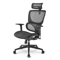 Sharkoon OfficePal C30 Nid d'oiseau Dossier grillagé