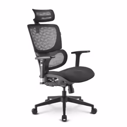 Sharkoon OfficePal C30 Nid d'oiseau Dossier grillagé