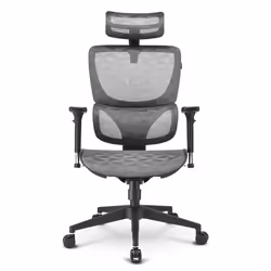 Sharkoon OfficePal C30M Siège respirant Dossier grillagé
