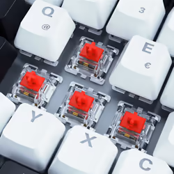 Sharkoon SKILLER SGK50 S3 clavier USB QWERTY Allemand Blanc
