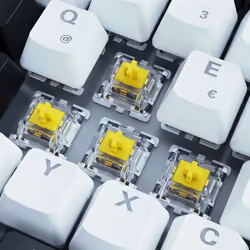 Sharkoon SKILLER SGK50 S3 clavier USB QWERTZ Allemand Blanc