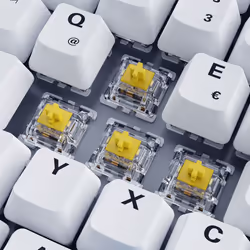 Sharkoon SKILLER SGK50 S3 PBT clavier USB QWERTZ Allemand Blanc
