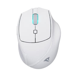 Sharkoon OfficePal M25W souris Jouer Droitier RF Wireless + USB Type-C Optique 4000 DPI