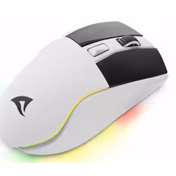 Sharkoon SGM50W souris Jouer Droitier RF Wireless + USB Type-A Optique 6400 DPI