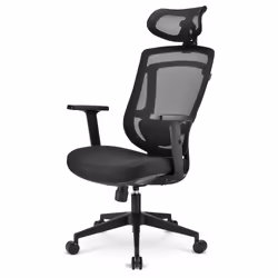Sharkoon OfficePal C10, Siège rembourré, Dossier en mesh, Noir, Noir, Tissu, mousse, Mesh