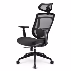 Sharkoon OfficePal C20, Siège rembourré, Dossier en mesh, Noir, Noir, Tissu, mousse, Mesh