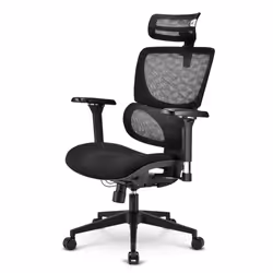 Sharkoon OfficePal C40, Siège rembourré, Dossier en mesh, Noir, Noir, Tissu, mousse, Mesh