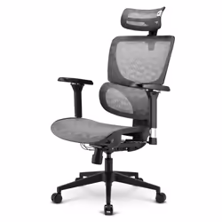 Sharkoon OfficePal C40M, Siège respirant, Dossier en mesh, Gris, Gris, Mesh, Mesh