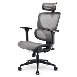 Sharkoon OfficePal C40M Siège respirant Dossier en mesh