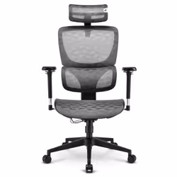 Sharkoon OfficePal C40M Siège respirant Dossier en mesh
