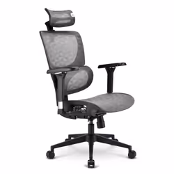 Sharkoon OfficePal C40M Siège respirant Dossier en mesh