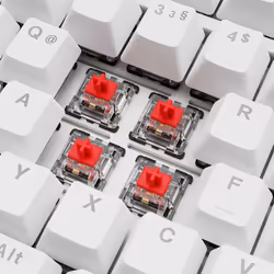 Sharkoon SGK25 clavier Maison USB QWERTZ Allemand Blanc - Vue supplémentaire 3