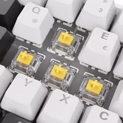 Sharkoon SGK50 S4 clavier Maison USB QWERTZ Allemand Blanc - Vue supplémentaire 7