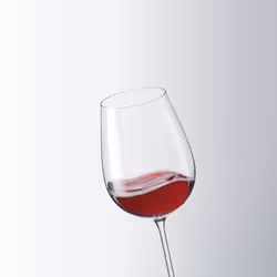 LEONARDO 020968 Verre à vin Verre de vin rouge