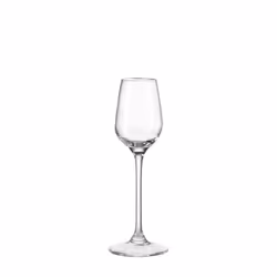 LEONARDO 020969, Verre de vin blanc, Verre, Transparent