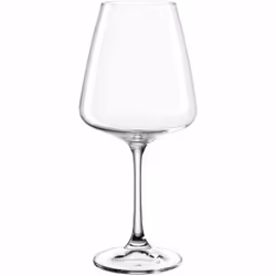 LEONARDO Paladino, Verre à vin polyvalent, Verre standard, Verre, Transparent, Claire, 540 ml