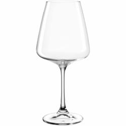 LEONARDO Paladino 540 ml Verre à vin polyvalent