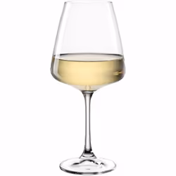 LEONARDO Paladino 540 ml Verre à vin polyvalent