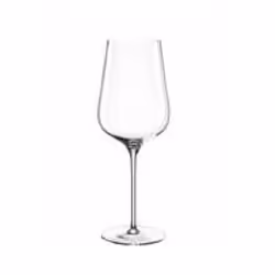 LEONARDO Brunelli, Verre de vin blanc, Verre standard, Verre, Transparent, 580 ml, 25 cm