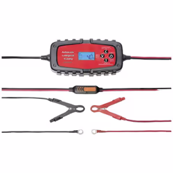 Informations techniques Tension d'entrée AC nominale : 220-240V, 50 Hz Informations techniques Conçu pour (batterie auto) : A ...