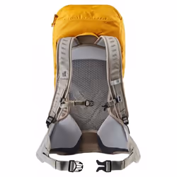 Deuter AC Lite 22 SL 22 L Gris, Jaune