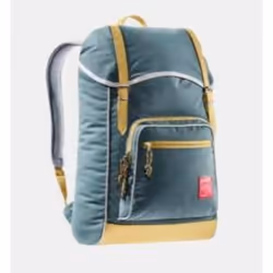 Deuter Innsbruck, Randonnée, Couleur camel, Essence, Poche frontale, Tablette de poche, Poche à fermeture éclair, 22 L, 820 g