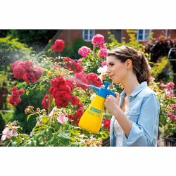 GLORIA Hobby 100 Pulvérisateur de jardin à main 1,3 L