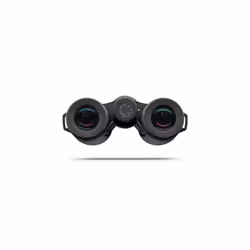 ZEISS Victory SF 10x32 jumelle Schmidt-Pechan Noir