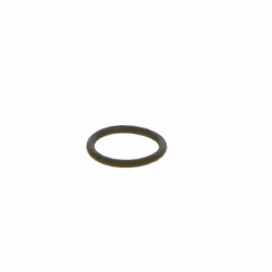 Bague en caoutchouc BOSCH F 00R J01 452