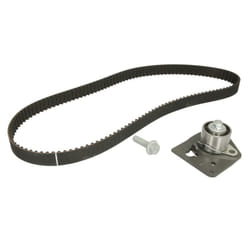 Kit distribution BOSCH 1 987 946 700