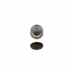 Poulie roue libre, alternateur BOSCH 1 986 AE4 573