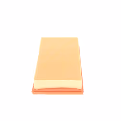 Filtre à air BOSCH 1 987 429 152 - Vue supplémentaire 5