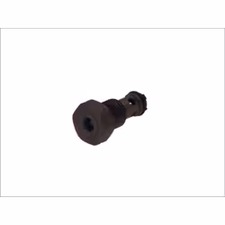 Gicleur, injection BOSCH F 00N 202 279