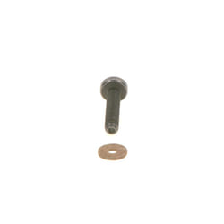 Vis, système d'injection BOSCH F 00N 202 193