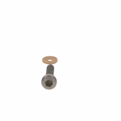 Vis, système d'injection BOSCH F 00N 202 193