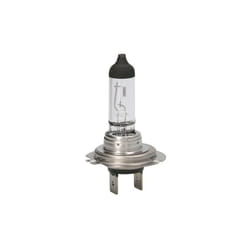 Ampoule halogène BOSCH H7 Pure Light 12V, 55W, 1 pièce