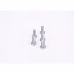 Vis, pompe à rampe commune BOSCH F 01M 100 684, 5 pièce